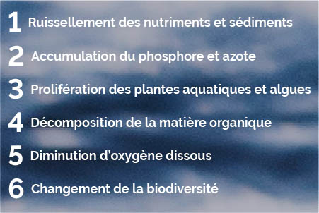 Image des 6 étapes processus d’eutrophisation d’un plan d’eau
