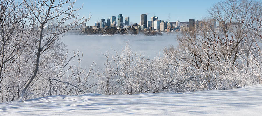Image de Montréal en hiver