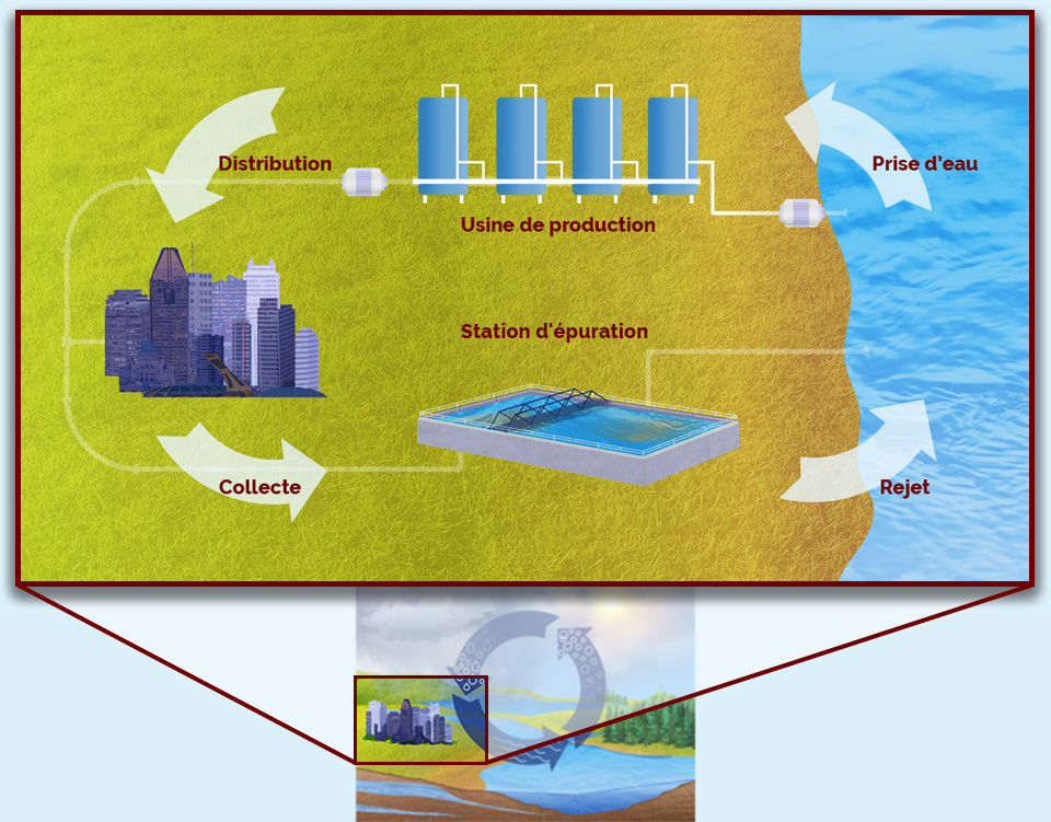 Image structurante module 5