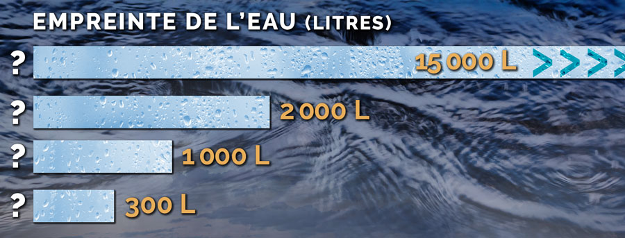 Quelle est l'empreinte de l'eau d'un kg d'acier, de papier, de pommes de terre et de boeuf?